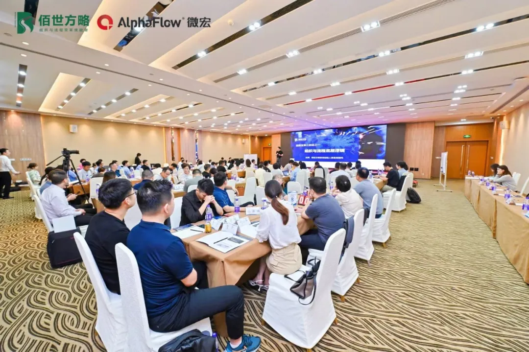 八十余位优质企业家、精英高管齐聚南京!佰世方略& 微宏科技 沈闯公益公开课之流程变革训战营盛大开营!|原文配图 19